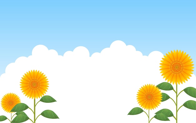 Sunflowers and entrance clouds against the blue sky