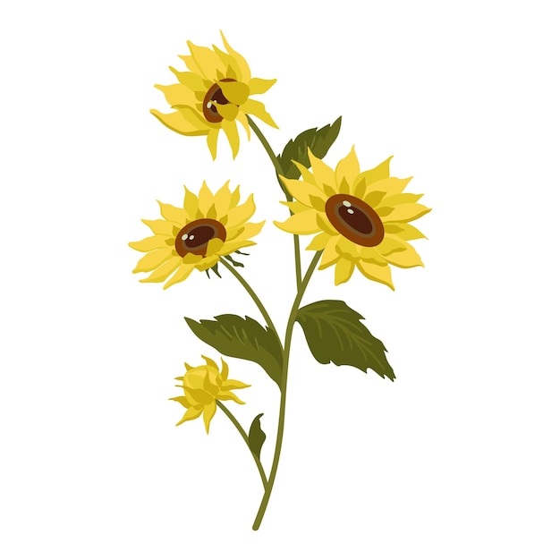 Vector sunflowers and leaves. yellow sunflowers on a white background. vector illustrations