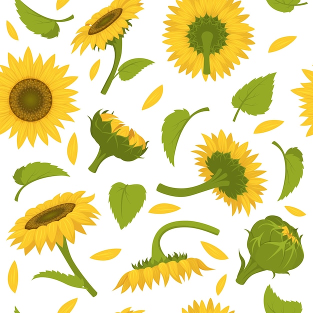 Sunflowers pattern Colored decorative botanical seamless background for textile design projects swanky vector pictures of yellow decorative sunflowers Illustration of sunflower decorative