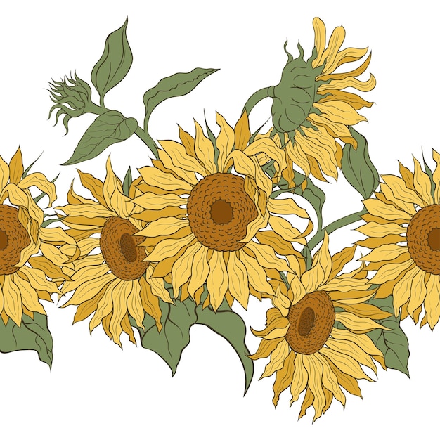 Vector sunflowers vector horizontal border seamless pattern hand drawn sunflowers on a white background