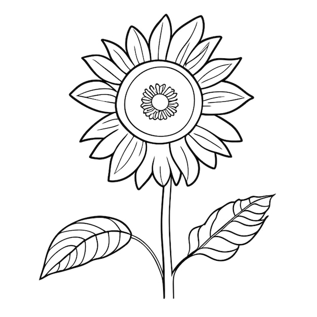 Vector sunflowers vector illustration line art