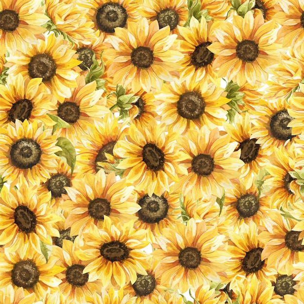 Vettore girasoli acquerello seamless pattern disegnati a mano fiori