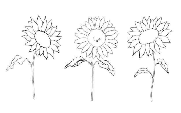 Sunflowers with leaves black line clipart hand drawn illustrations