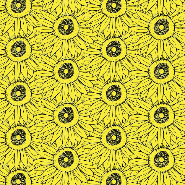 Sunning background of the sunflower. vector line yellow flowers of the background texture