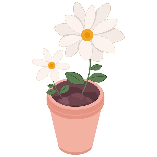 Sunny Daisies in a Pink Pot