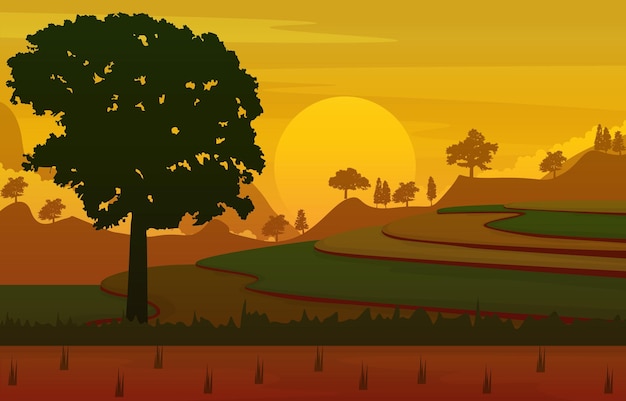 Sunrise asian paddy rice field agriculture nature view illustration