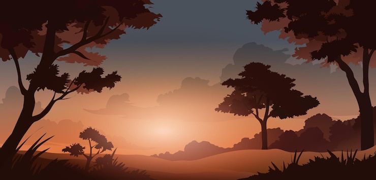 Premium Vector | Sunrise in beautiful forest landscape