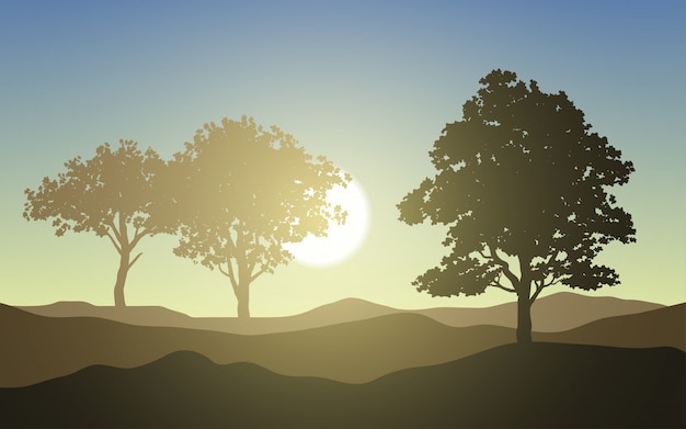 Sunrise landscape with tree silhouette