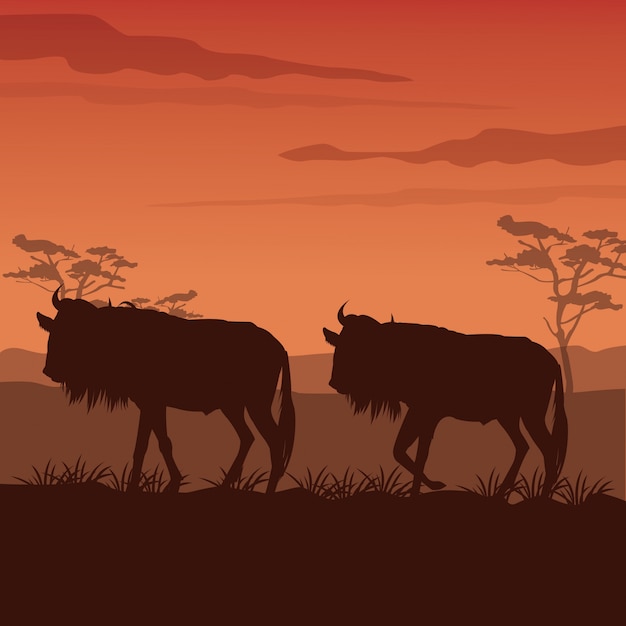 Vector sunset african landscape with silhouette wildebeest standing