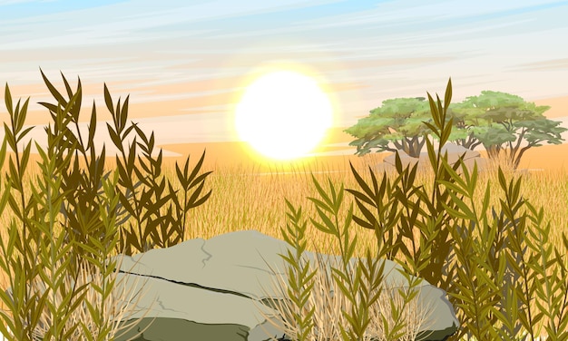 Vector sunset in the african savannah realistic vector landscape