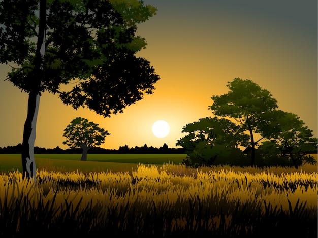 Vector sunset in forest