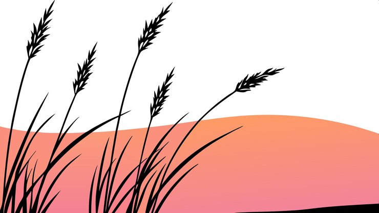Vector sunset grass silhouette tall grass silhouette vector illustration for nature lovers