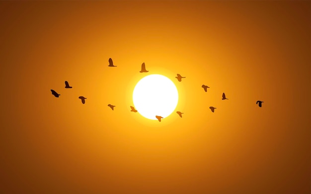 Sunset sky illustration with migrating birds