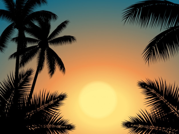 Vector sunset sky with palm tree silhouette