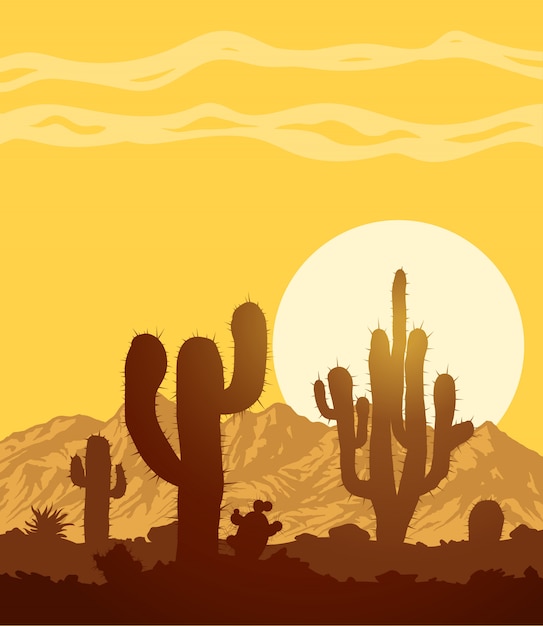 Sunset in stone desert with cactuses