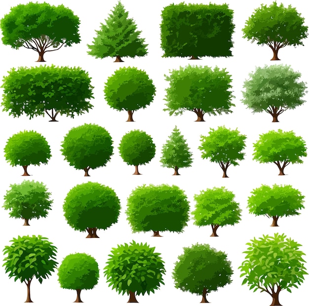 Super forest trees bushes plants art vector