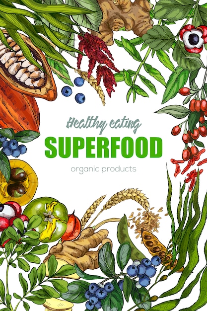 Superfood, realistic sketch frame 