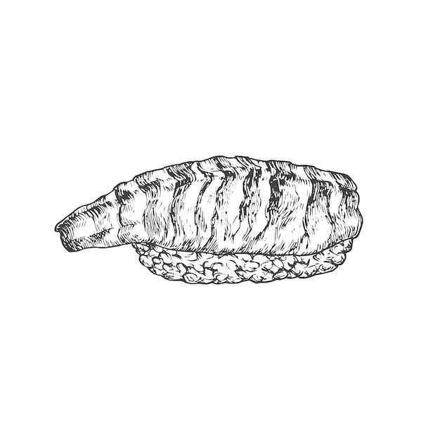 Вектор Суши абстрактная векторная иллюстрация ручной рисунок азиатская еда сашими рост с креветками креветки хвост эскиз рисунок японская кухня каракули изолированный