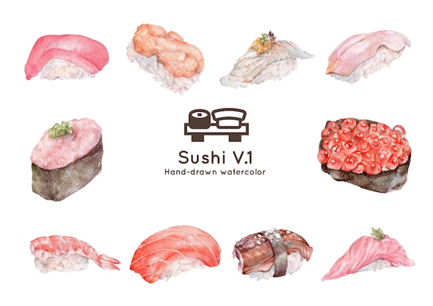 Vector sushi watercolor illustration