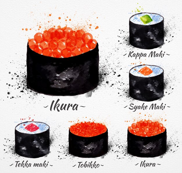 Vector sushi watercolor set