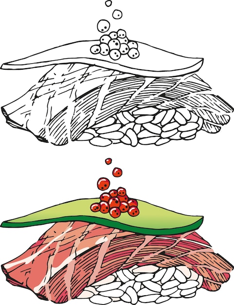 Vettore sushi con riso al caviale rosso avocado salmone e alghe su sfondo bianco