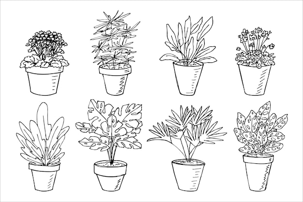 Sute hand drawn houseplant in a pot clipart Plant illustration Cozy home doodle set