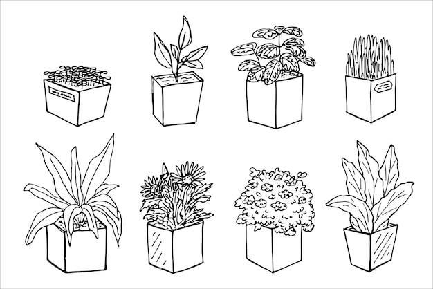 Sute handgetekende kamerplant in een pot clipart plant illustratie cosy home doodle set