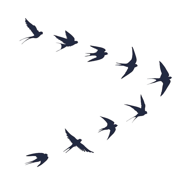 Swallow bird flock vector illustrations set