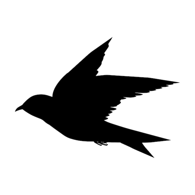 Vector swallow bird or swiftlet silhouette black isolated in white background vector illustration