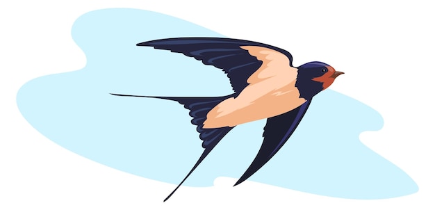 Swallow in blue sky Flying wild bird art