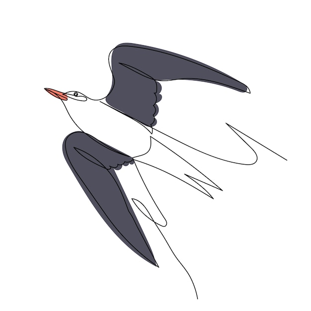 swallow flying continuous line drawing on white background vector