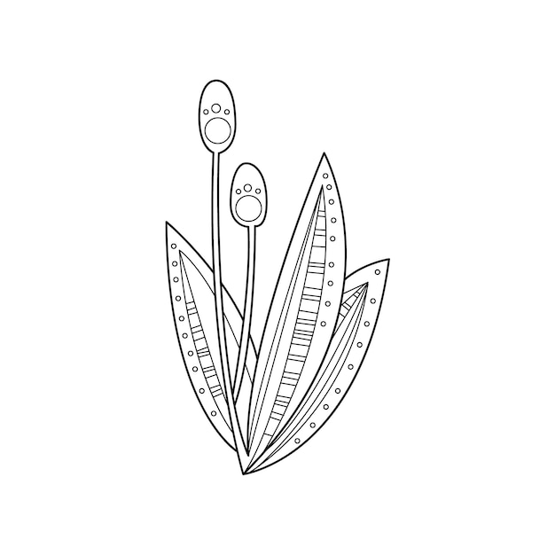 ぬりえのための沼の手描きのベクトルデザインZentangleプリント