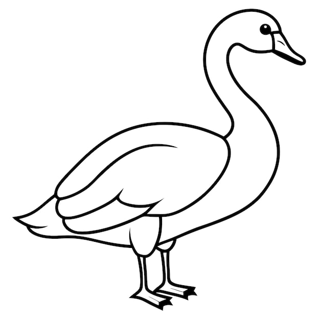 Swan Bird Standing Line Art Vector Illustration