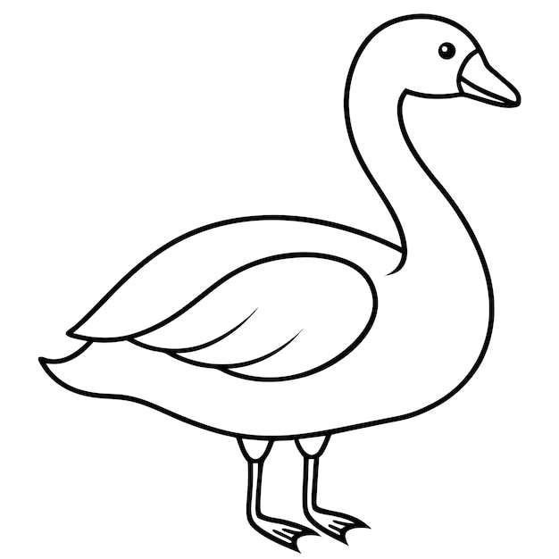 Swan Bird Standing Line Art Vector Illustration