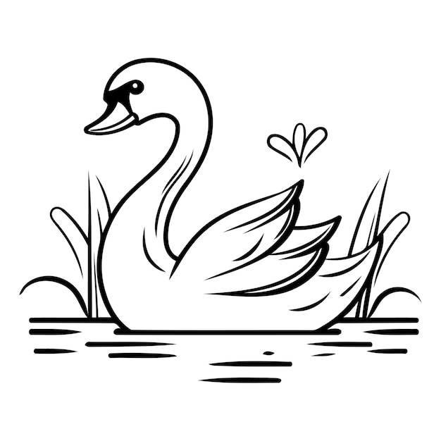 Vector swan in the grass vector illustration of a swan