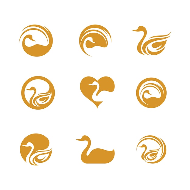 Swan icon template vector illustration design