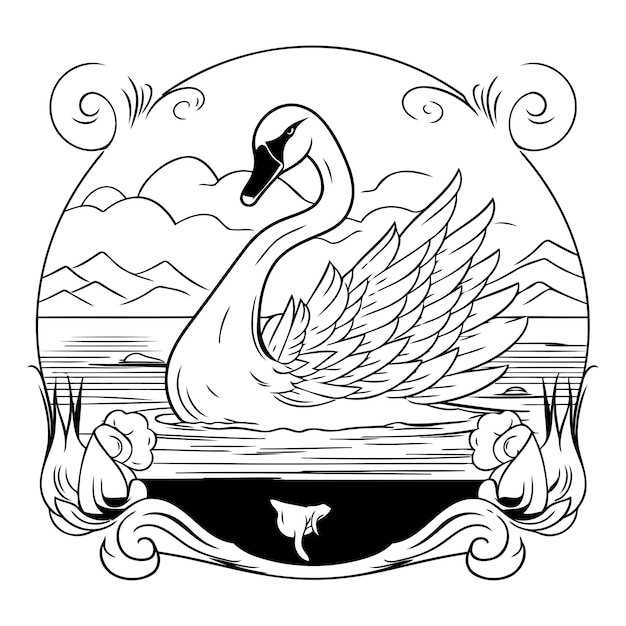 Vector swan on the lake black and white vector illustration for coloring book