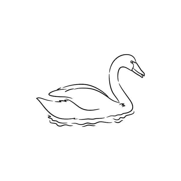 Swan line art drawing illustration