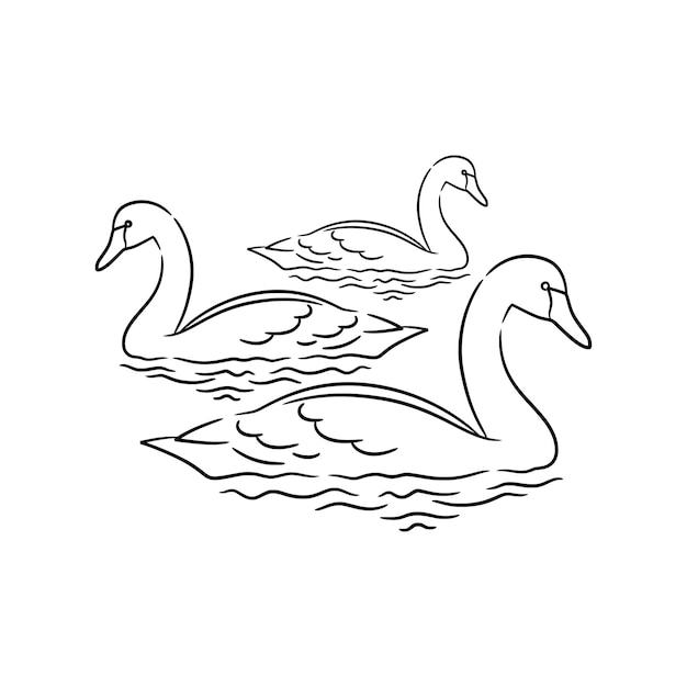 Swan line art drawing illustration