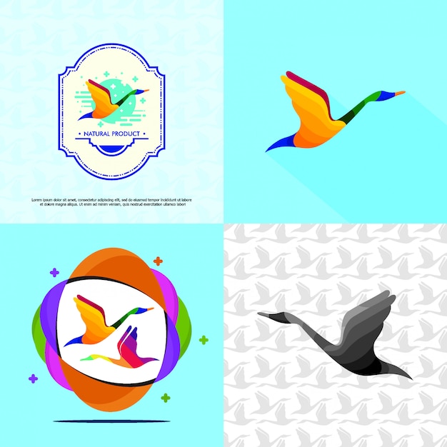 Vector swan logo template