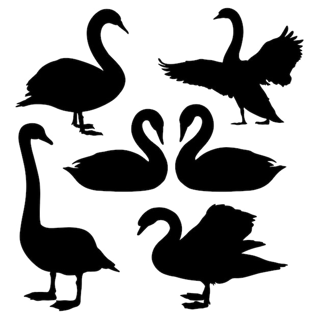 Swan silhouette bundle