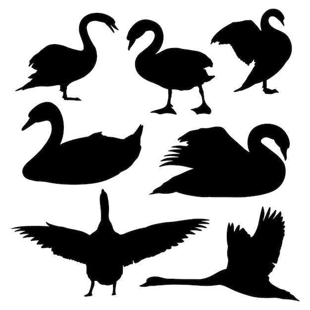 Vector swan silhouette bundle