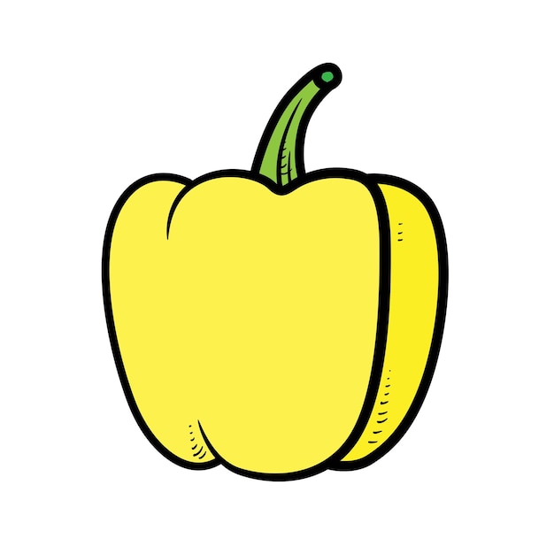 Sweet bell pepper color variation for coloring page isolated on white background