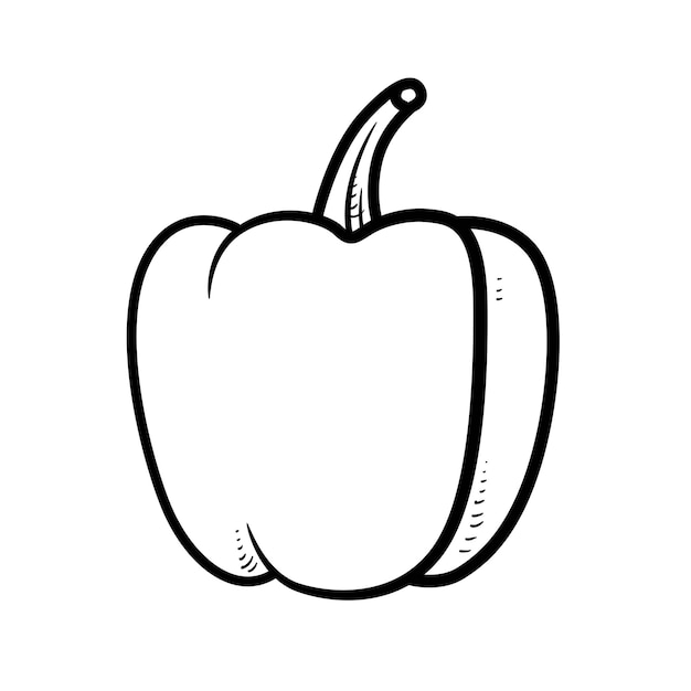 Sweet bell pepper linear drawing on white background
