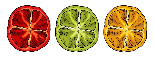 Вектор Сладкий желтый красный зеленый перец верхний вид винтажная гравюра векторная цветная иллюстрация изолированная