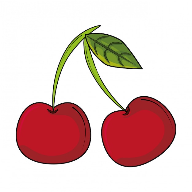 Sweet cherries fruit