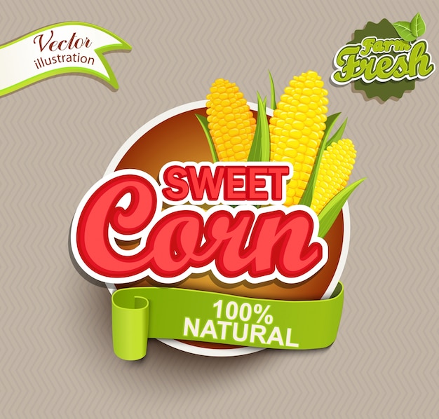 Vector sweet corn logo.