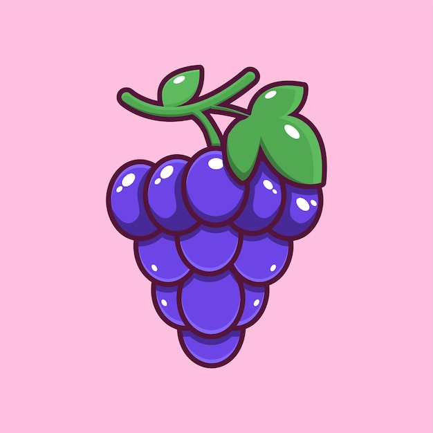 Sweet and delicious dark blue grapes vector