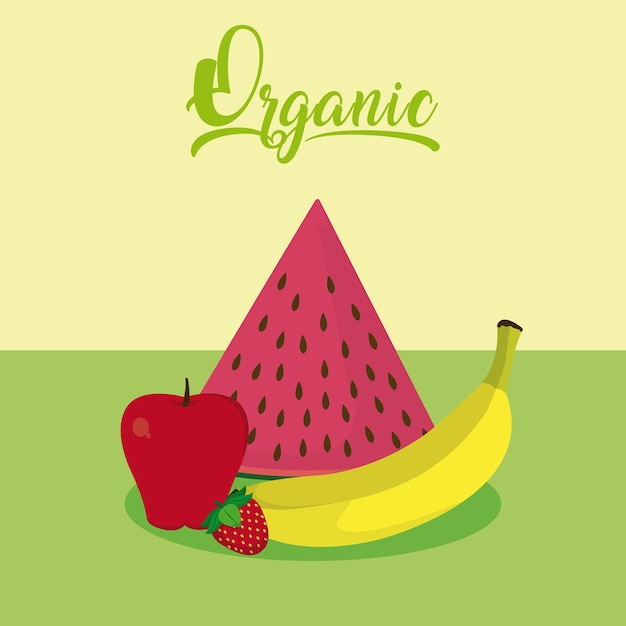 Sweet fruits cartoon vector illustration graphic design