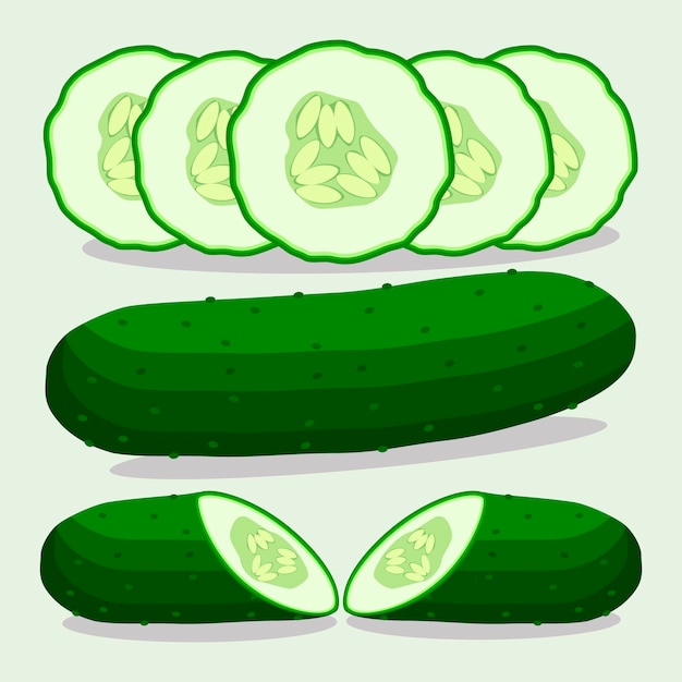 Sweet juicy tasty natural eco product cucumber